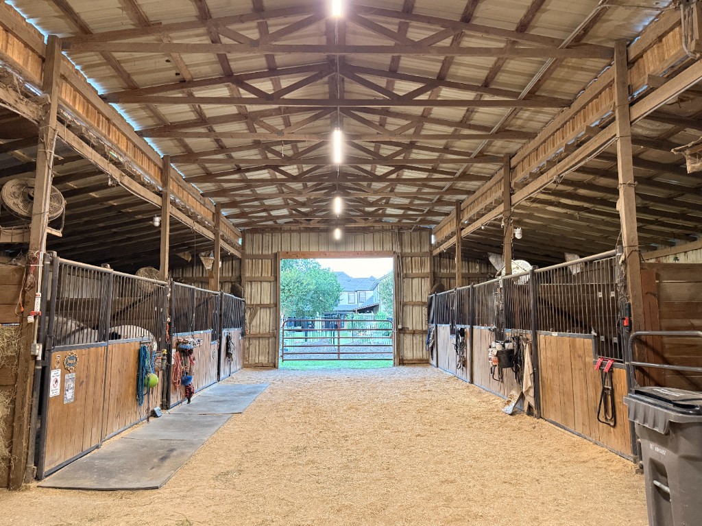 Interior aisle of horse stalls with wood shavings