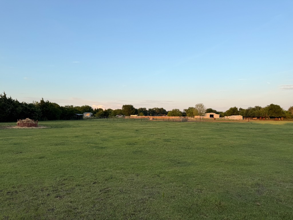 Barn and tree in a grassy paddock at sunset