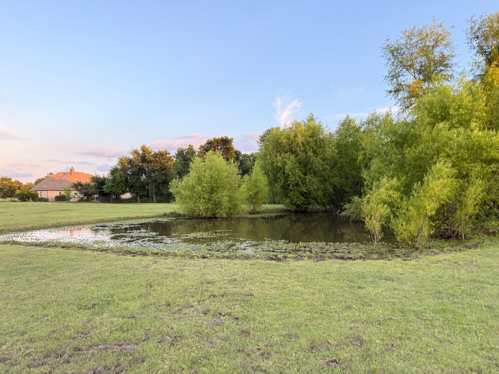 Pond surrounded by trees with the ranch house in view