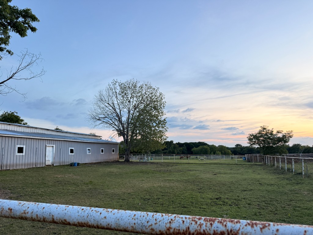 Green pasture with hay feeder and distant barns